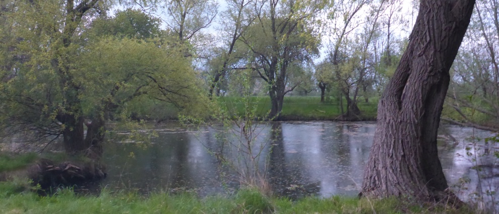 L'etang de Kaja.