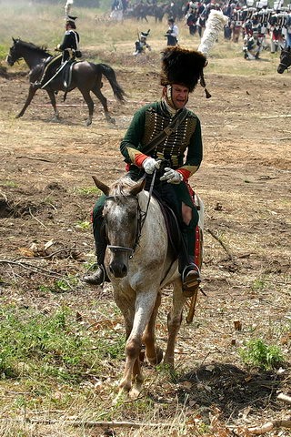 Ein findiges Pferdchen. Photo von www.poloniamilitaris.pl