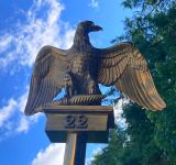 l'aigle